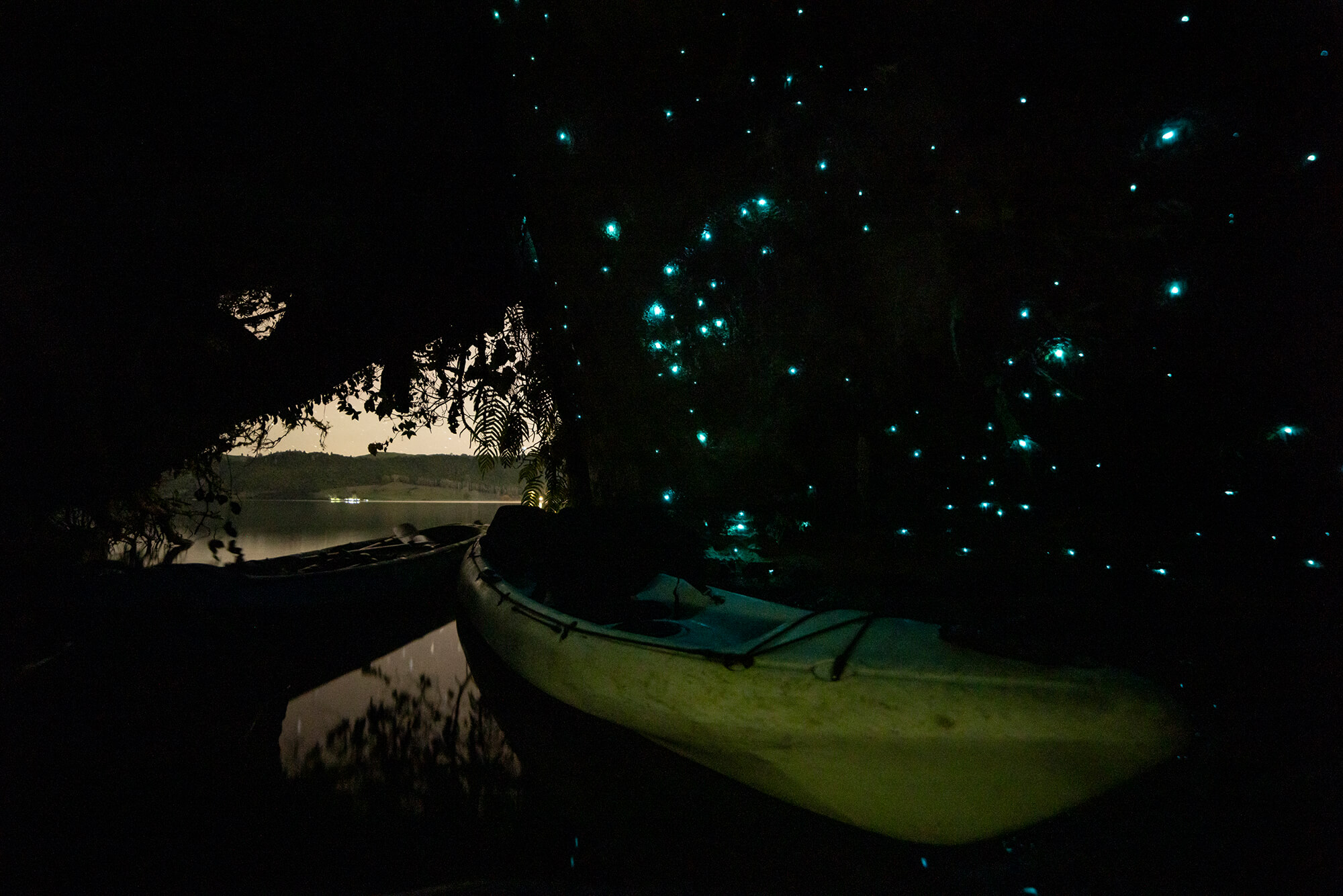 Kayak in a glow worm cave